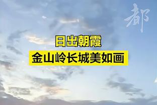 记者：萨拉戈萨正努力学德语，图赫尔不想1月引进他&两人没说过话